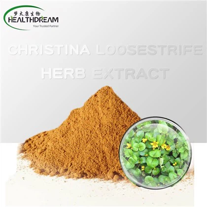 Кристина Loosestrife Herb Extract